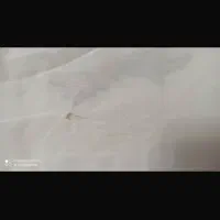 پرده|پرده، رانر، رومیزی|تبریز, |دیوار