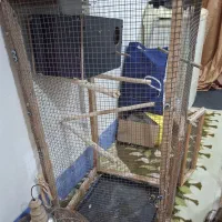 قفس بزرگ پرنده