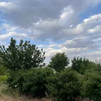 فروش باغ ویلا با دیوار کشی و آب دائم داخل شهر|فروش زمین و ملک کلنگی|آباده, |دیوار