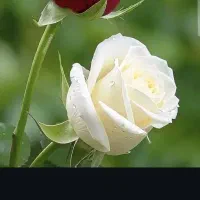 خط 912