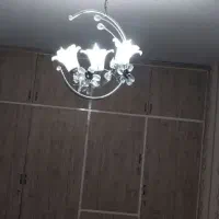 یک جفت لوستر زیبا و طرح گل