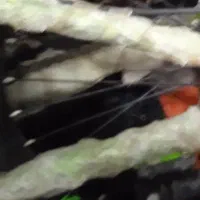 دوچرخه 26 دنده ای کمکی خشک تمیز|دوچرخه، اسکیت، اسکوتر|ایرانشهر, |دیوار