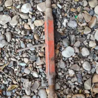 بازو وسط ،فیلتردوقلو