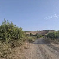 زمین ۵۰۰ متری نزدیک کمربندی نکا