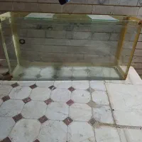 اکواریم