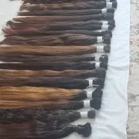 فروش مو و خرید مو خریدار مو کوتاهی مو رنگی و خام