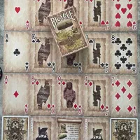 قرعه کشی جایزه جایزه