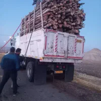 خریدهمه نوع چوب|خدمات باغبانی و درختکاری|چهارباغ, |دیوار