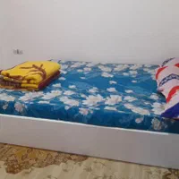 اجاره‌سویت‌آپارتمام‌هم‌ از‌ جنگلی‌ هم. از‌ دربستی|اجارهٔ کوتاه‌مدت آپارتمان و سوئیت|گرگان, |دیوار