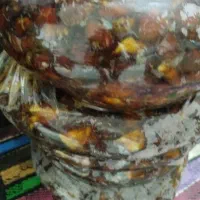 خرما شاهانی و مرداسنگ شیره دار