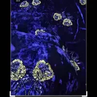 لباس|لباس|دهدشت, |دیوار