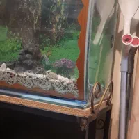 آکواریوم با زیری آهنی فرفوژه با امکانات کامل|ماهی|شهرکرد, |دیوار