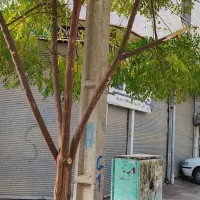 ملک تجاری|فروش مغازه و غرفه|کوهدشت, |دیوار