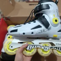 اسکیت کوگار