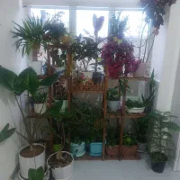 شلف گل یا کتابخانه