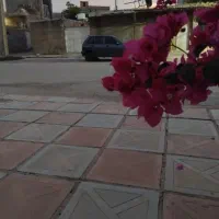 پراید هاچبک ۱۱۱
