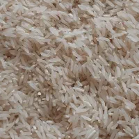 برنج فجر سوزنی ۹۰ روزه،خانببین