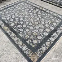 قصر فرش بابل|فرش|بابل, |دیوار