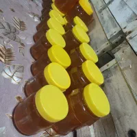 فروش عمده عسل طبیعی