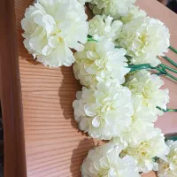 گل شاخه ای بزرگ