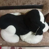 دو عدد عروسک بزرگ|اسباب‌بازی بچه|اردبیل, |دیوار