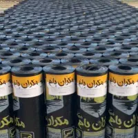 ایزوگام