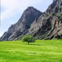 زمین-116متری-استاندارد-سند-پروانه-آماده-انتقال