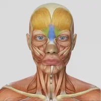 دوره آموزشی کامل بوتاکس/ژل/مزوتراپی/نخ/آنزیم|خدمات آموزشی|کرمانشاه, |دیوار