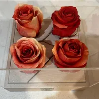 گل رز جاودان|گل و گیاه طبیعی|تهران, آذری|دیوار