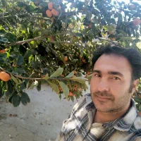 یک عدد باغچه الوان