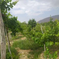 نیازمند خانه