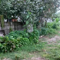 سوییت|اجارهٔ کوتاهمدت آپارتمان و سوئیت|حویق, |دیوار