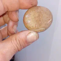 سنگهای باستانی خیلی دورتراز قرن ها|کلکسیون اشیاء عتیقه|رشت, فرودگاه سردار جنگل رشت|دیوار