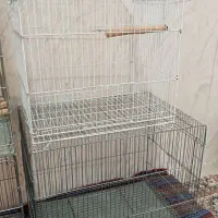 قفس|لوازم جانبی حیوانات|اهواز, غیزانیه|دیوار