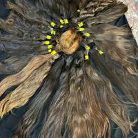 فروش و ( خرید)گیس(مو)