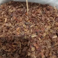 کشمش آبگیری تاکستان|خوردنی و آشامیدنی|تهران, فلاح|دیوار