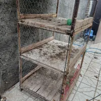 سلام قفس مرغ یا کبوتر