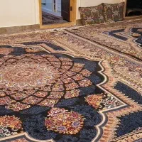 دوعدد فرش 12متری|فرش|القجر, |دیوار