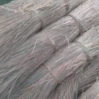 کلوش