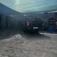 نیروی کاری کارواش