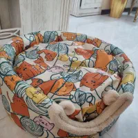 وسایل سگ و پت