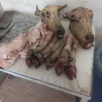 کله پاچه شیشک بره