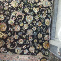 ۷۰۰ شانه ۲۵۵۰