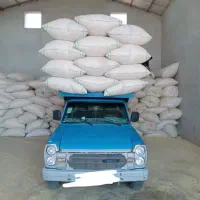 ۱۰۰تن کاه دیم کیسه شده داخل سوله