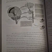 روانشناسی فیزیولوژیکی ترجمه یحیی سیدمحمدی|کتاب و مجله آموزشی|میانه, |دیوار