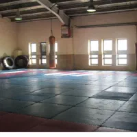 آموزش سامبو