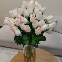فروش عمده گل گلدان دمپایی پتوروبالشی پادری ماگ|گل مصنوعی|صفادشت, |دیوار