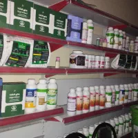 نمایندگی خدمات کشاورزی کود سم نهال و مشاوره|خدمات باغبانی و درختکاری|زاهدان, |دیوار