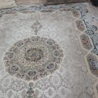 فرش ۹متری ۱۲۰۰شانه و پشتی۱۲۰۰شانه|فرش|مشهد, طلاب|دیوار