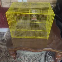 قفس پرنده و مرغ|لوازم جانبی حیوانات|مشکیندشت, |دیوار